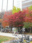 091108lesson8.jpg