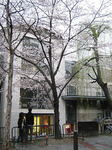 100328kyouto_3.jpg