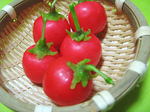 candle_tomato.jpg